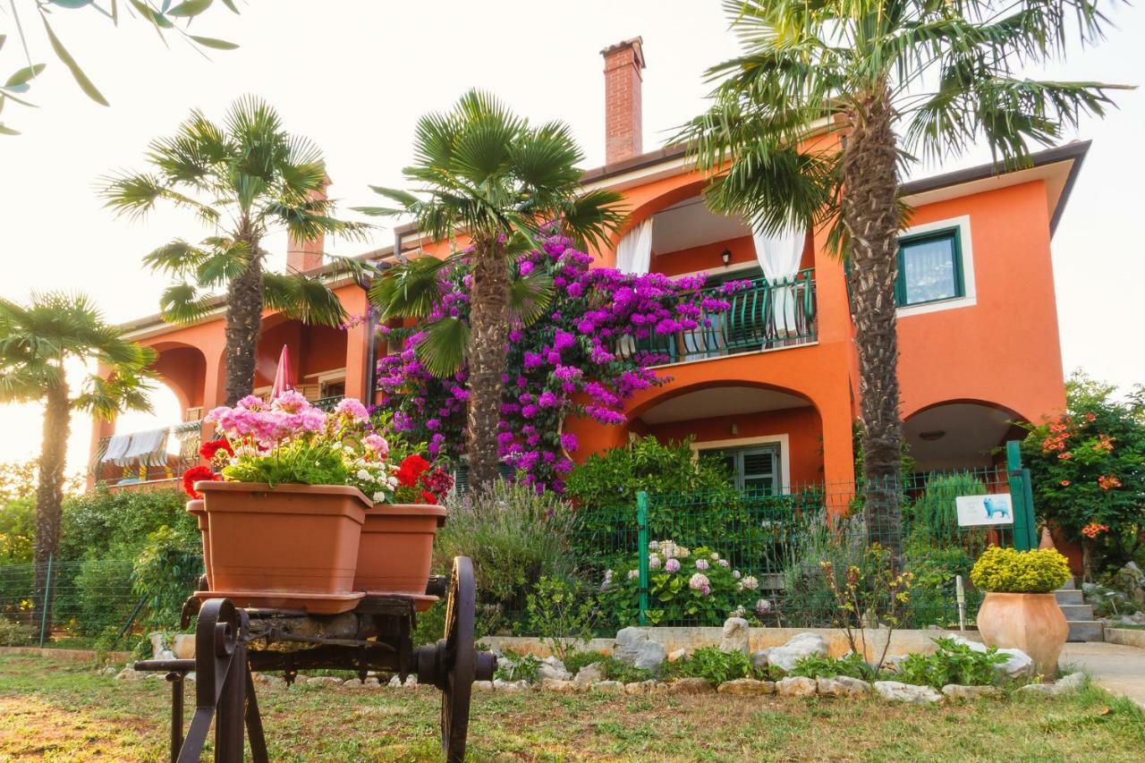 Apartments Mirjana Novigrad Istria Eksteriør billede